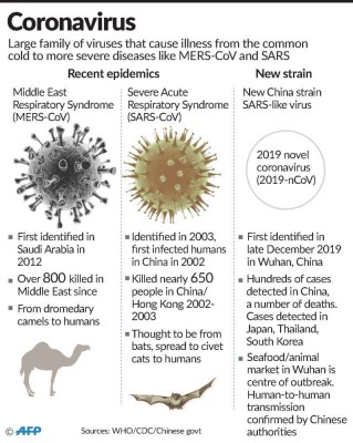 world health organizations combat the coronavirus outbreak