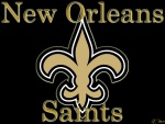 New Orleans Saints (NFC South)